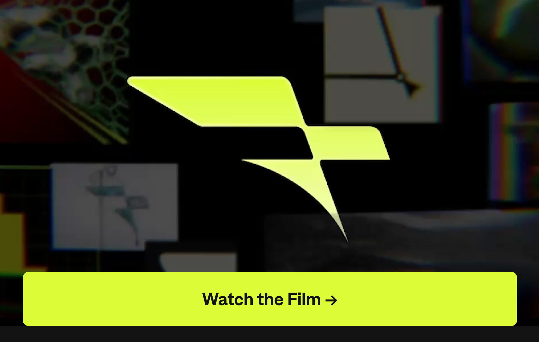 everfit new logo