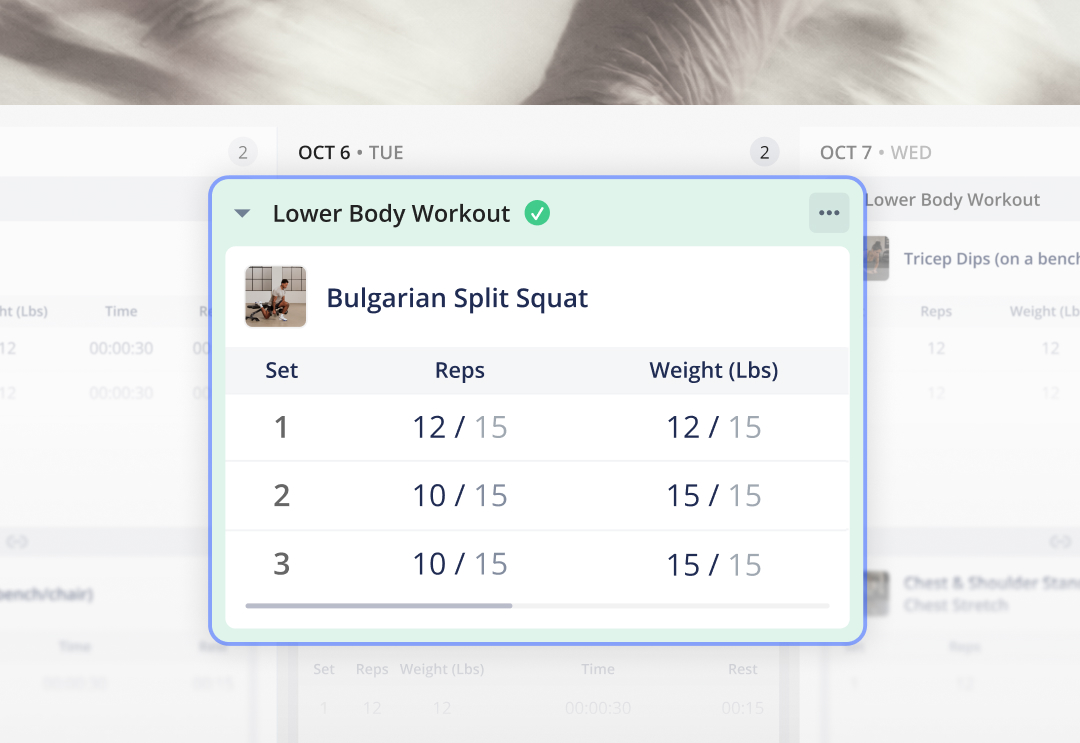 everfit master planner